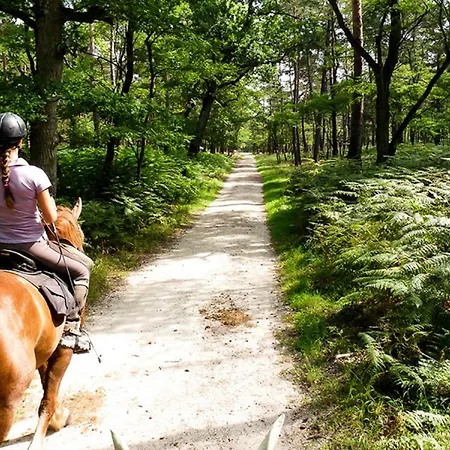 Millygite Roulotte - 4 Seasons Chalet-on-wheels Milly-la-Foret